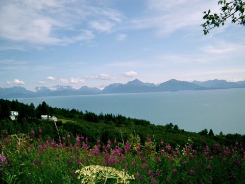 Beautiful Kachemak Bay Alaska