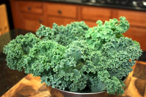 Kale from last spring