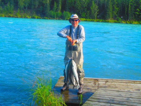 a nice catch of red salmon from 2014