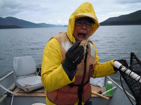 Catching the Coonstriped shrimp.