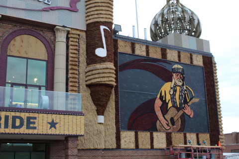 Willie in corn. 