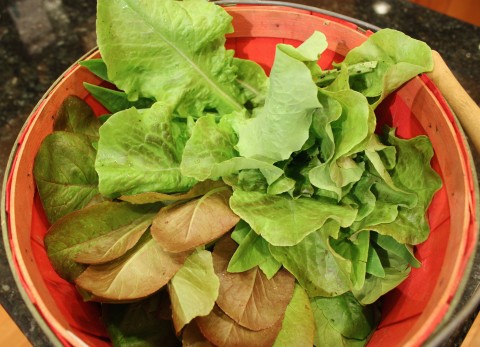 A basket of greens from last year's crop.